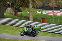 Middle Group Green Bikes